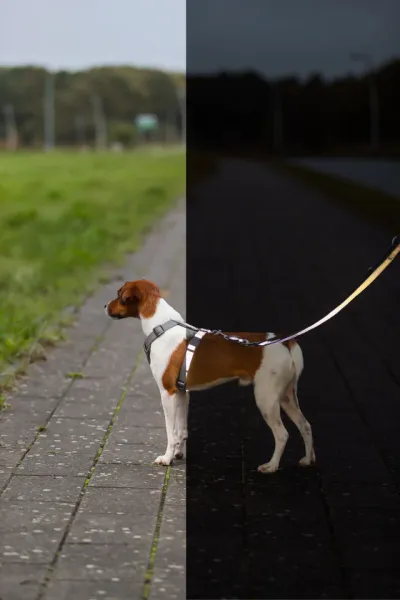Premium Reflect Verlängerungsleine